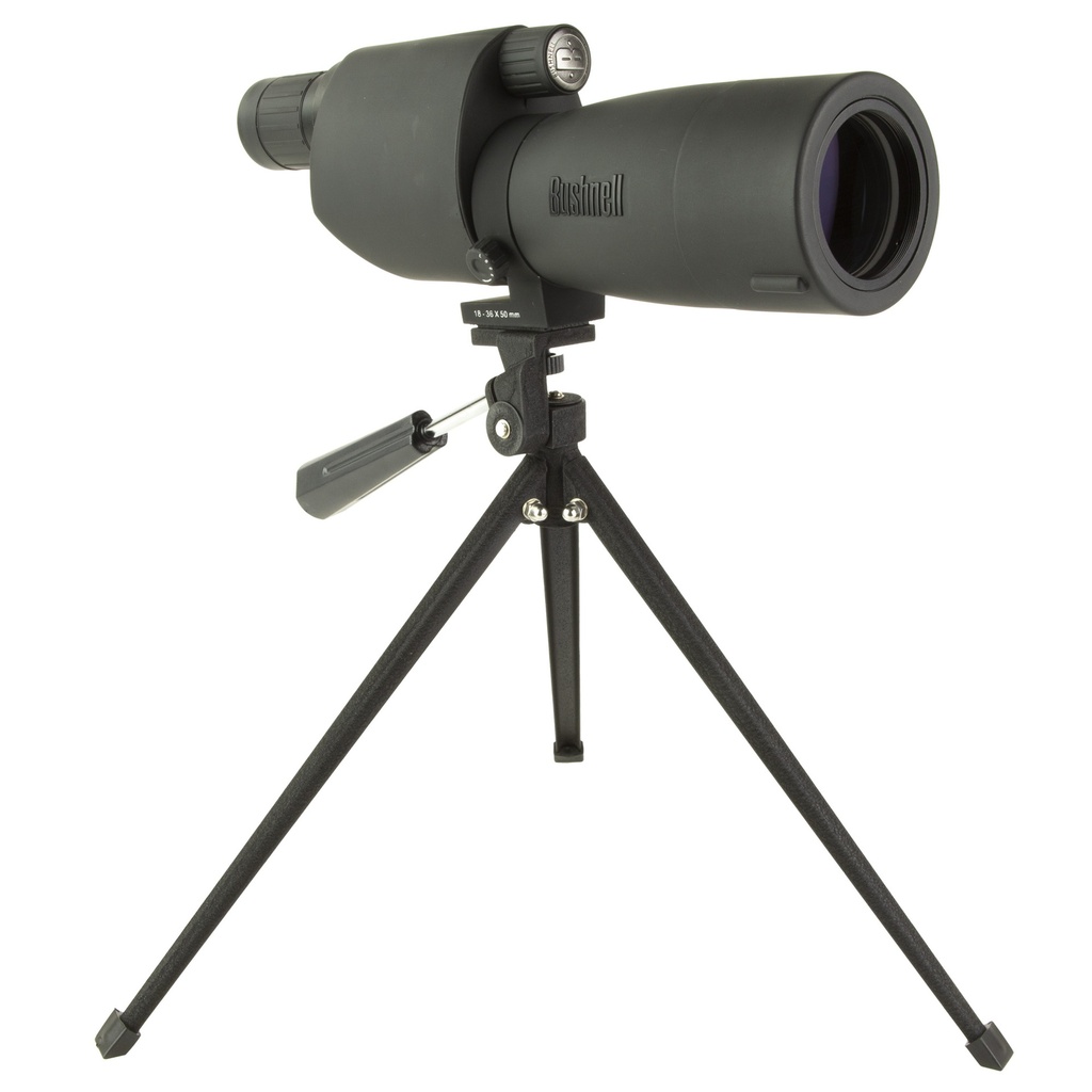 BS783618X_2_HR.jpg