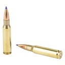 F308SBRA_4_HR.jpg