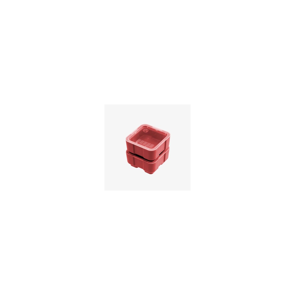 MPIMAG1390-RED_2_HR.jpg