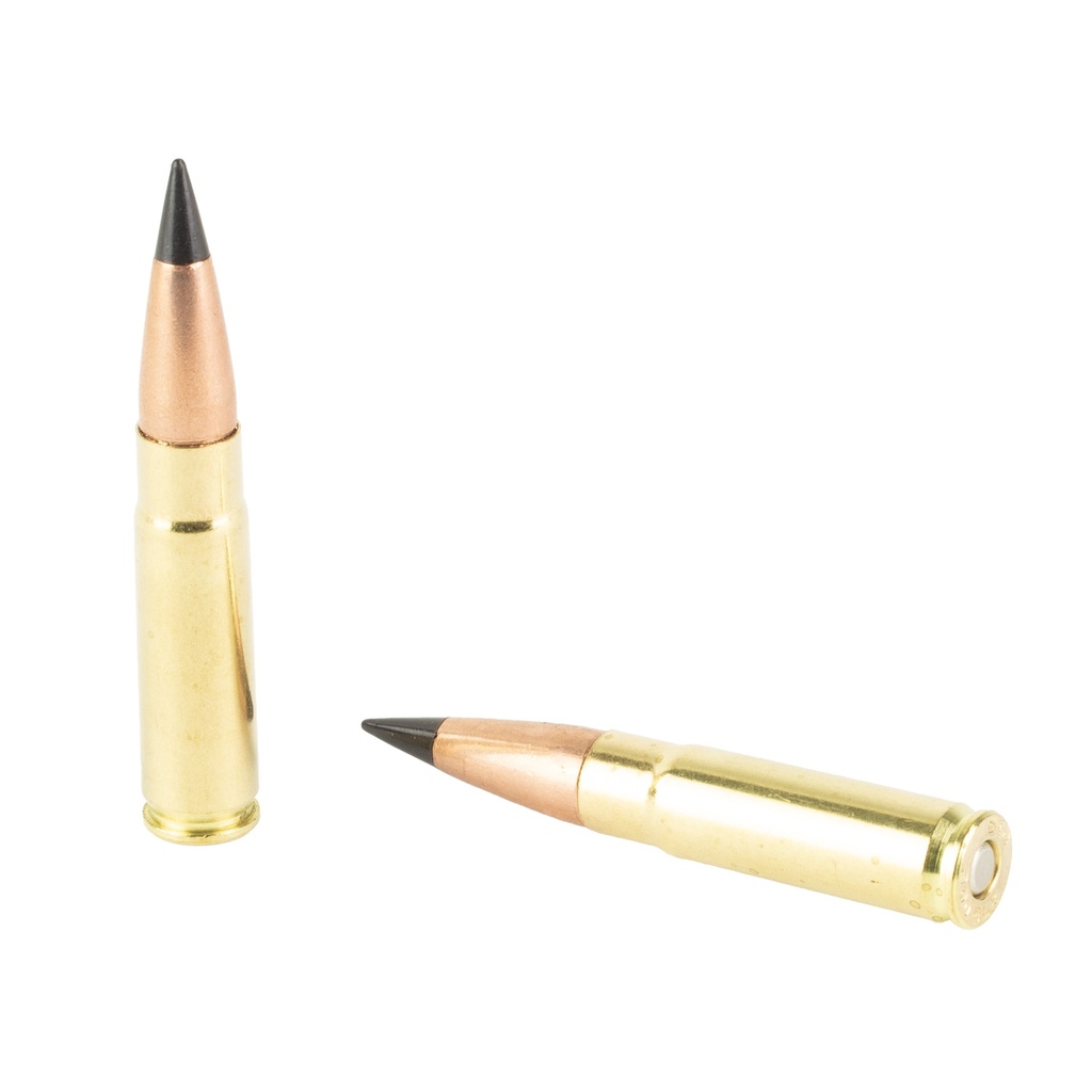 SGT300BLK110TTX-20_4_HR.jpg