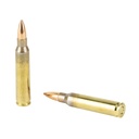 SOLGW556-62FMJ-1000_4_HR.jpg