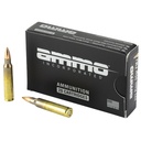 AMMO INC 223REM FMJ 55GR 20/200