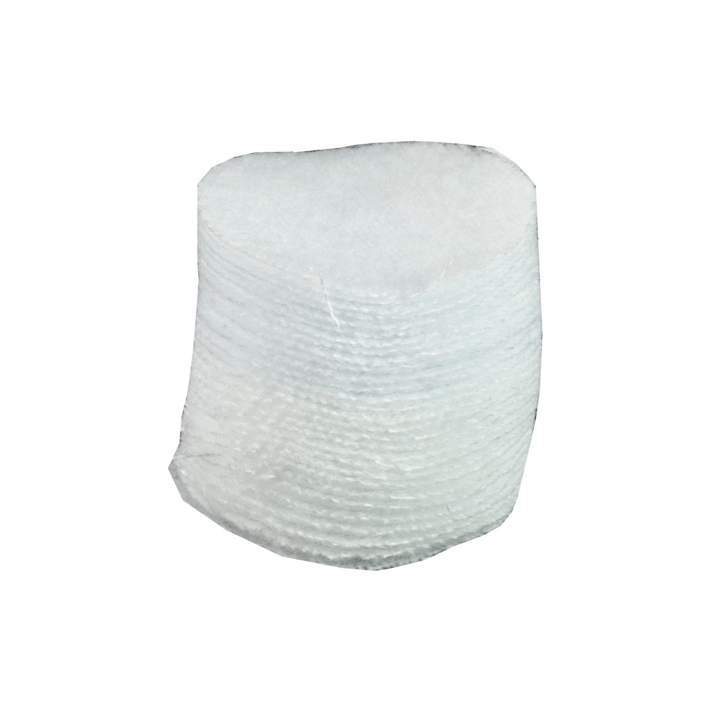 PRO-SHOT PATCH .22-.270CAL 1" 300CT