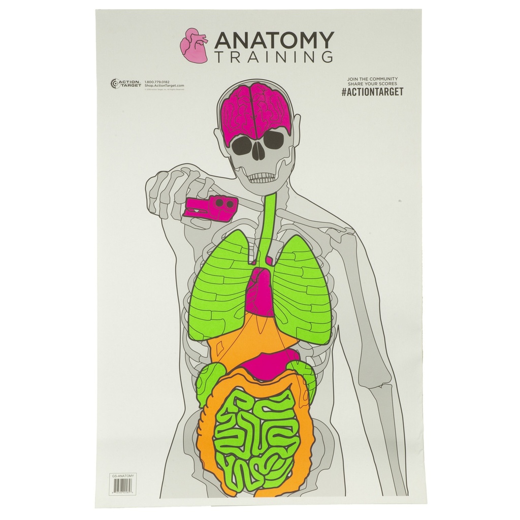 ACTION TGT ANATOMY TRNG 100PK