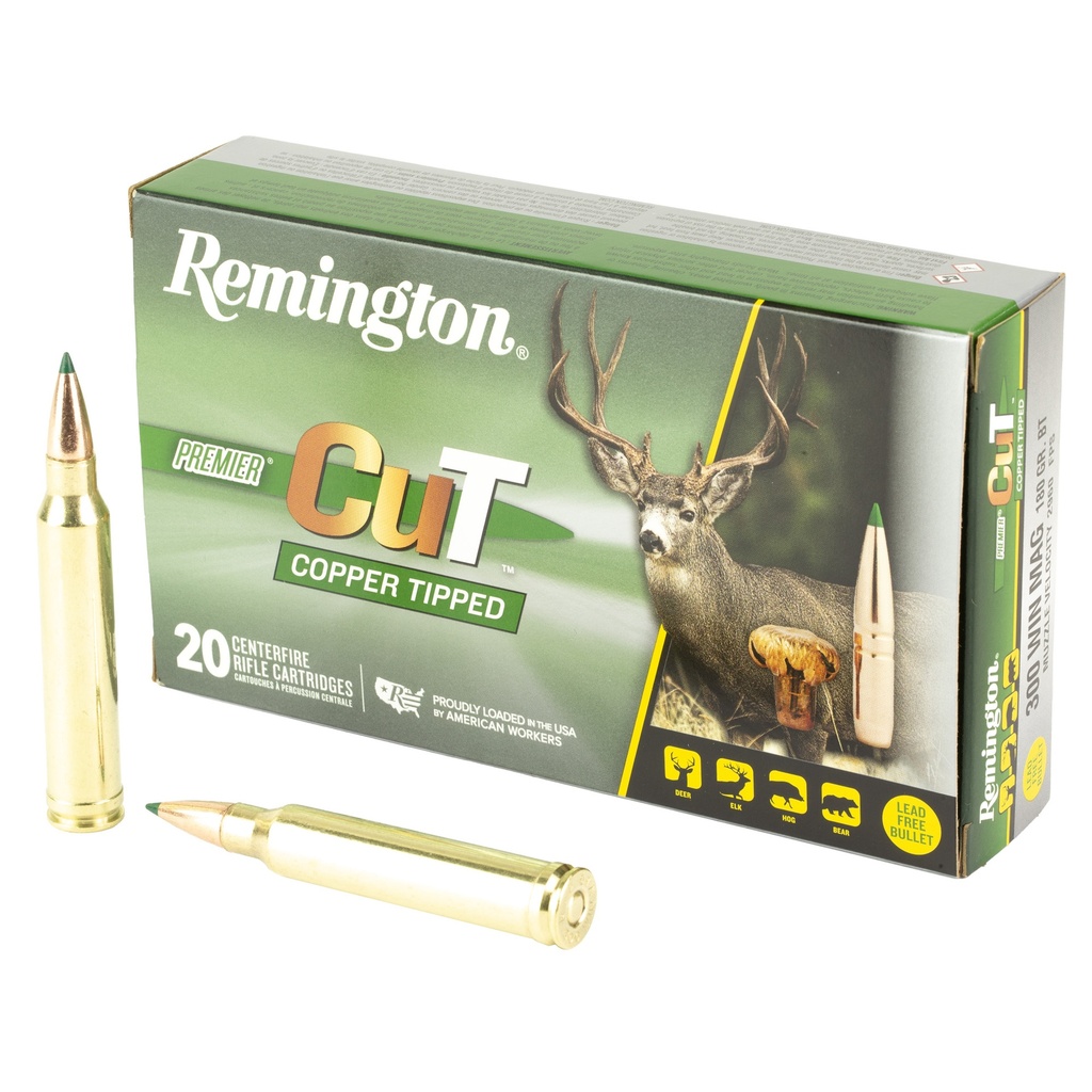 REM PRMRCUT CPR 300WIN 180GR 20/200